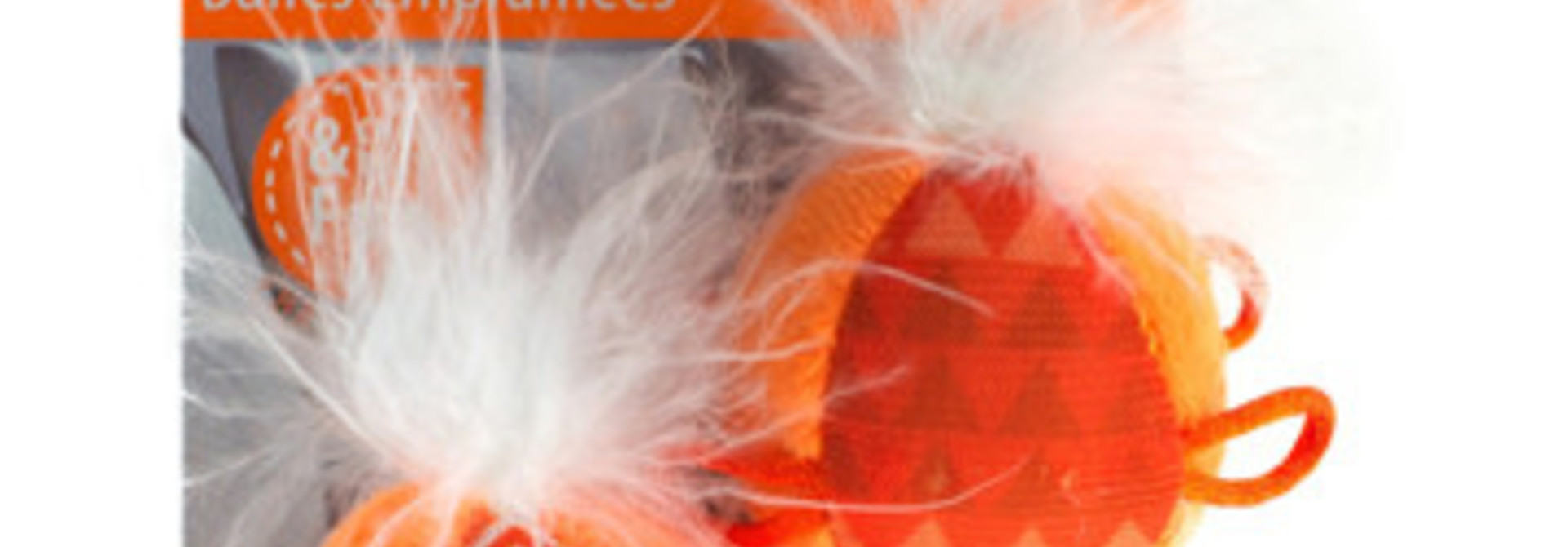 All For Paws Feather Ball