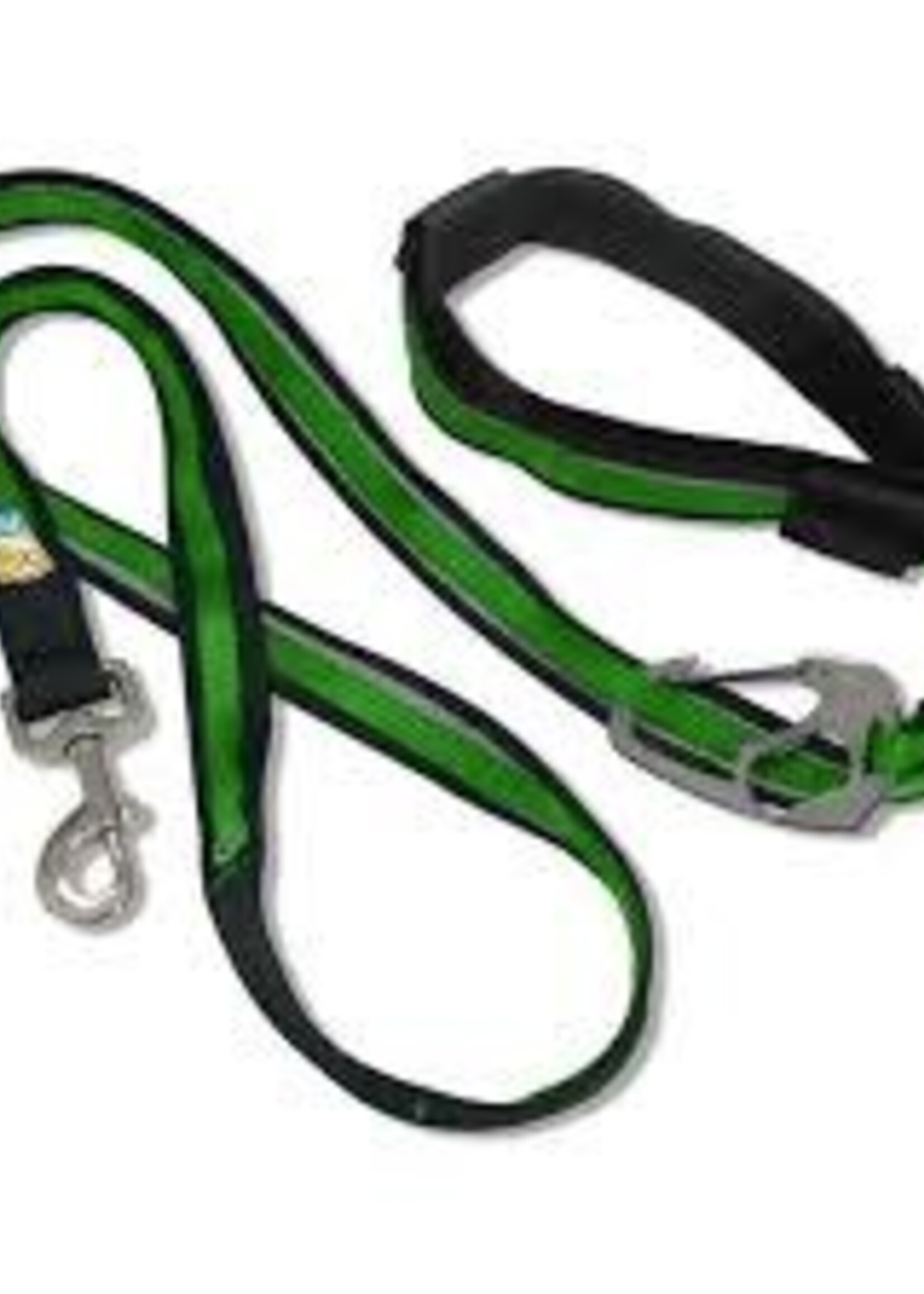 Kurgo Kurgo-Reflect & Protect Quantum Leash Green/Black
