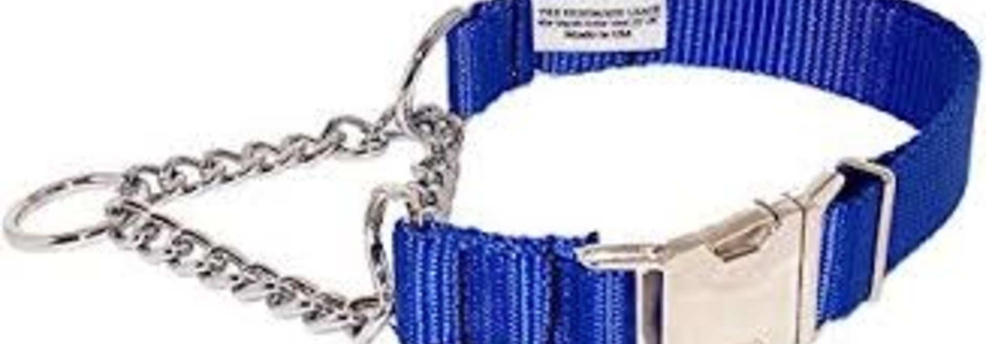 3/4" Wide Martingale Style Nylon Dog Collar Royal Blue
