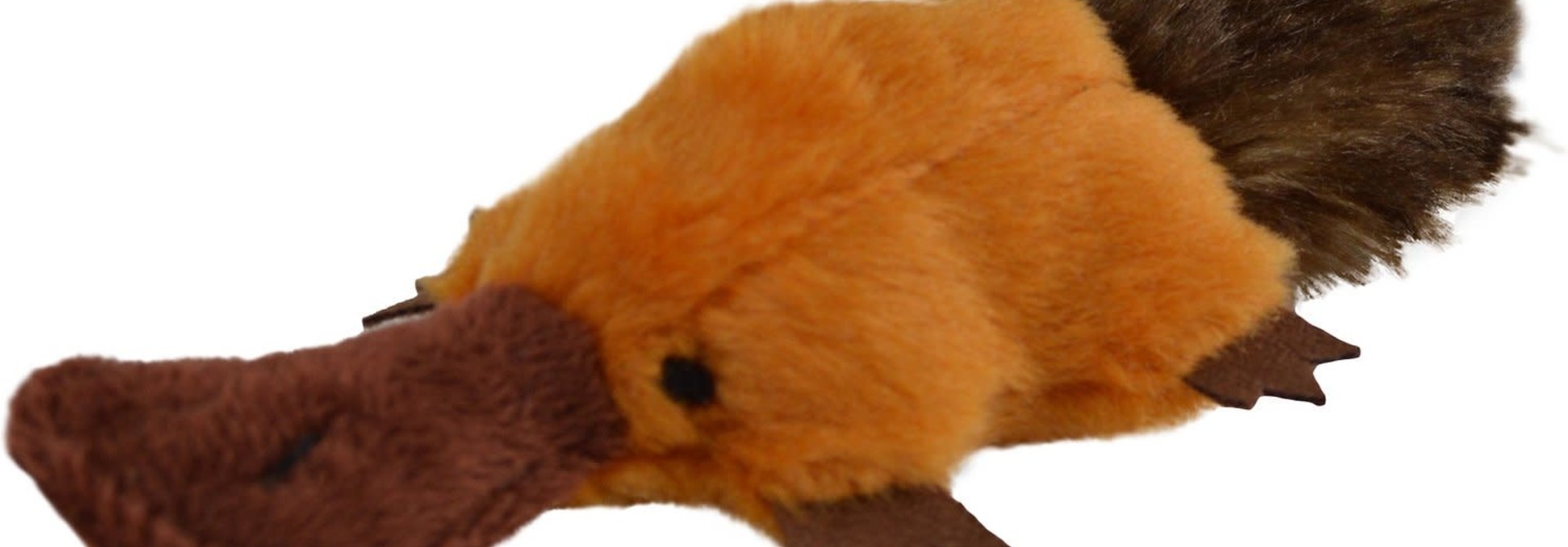 Play N Squeak Plush Platty Pup Catnip