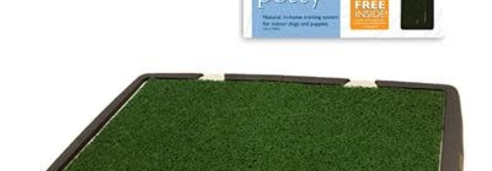 Training Place w/Wondergrass Brown