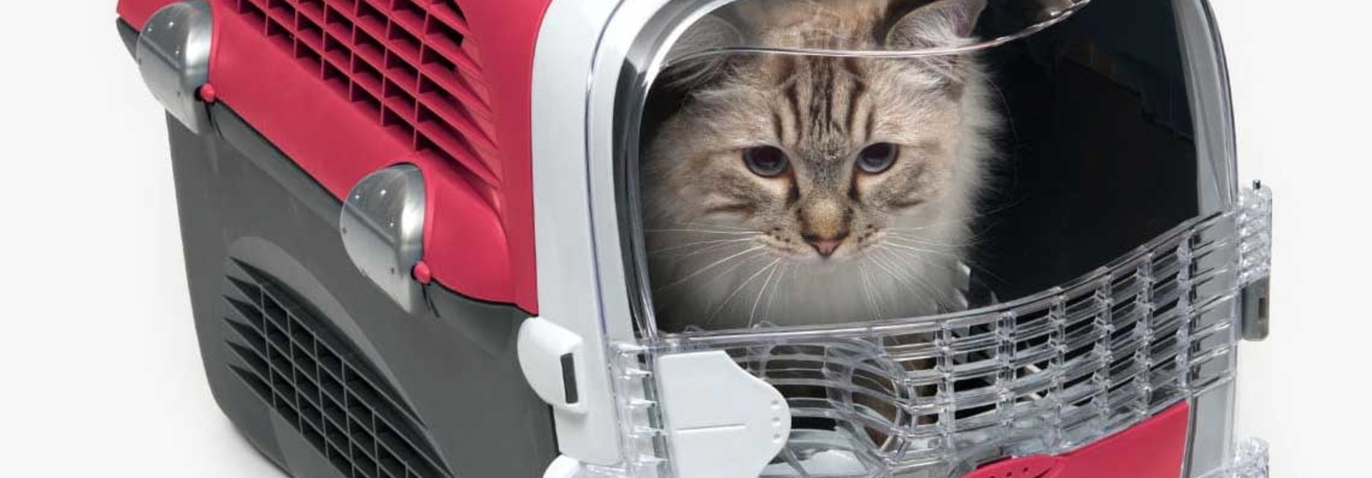 CatIt 2.0 Cabrio Carriet, Cherry Red