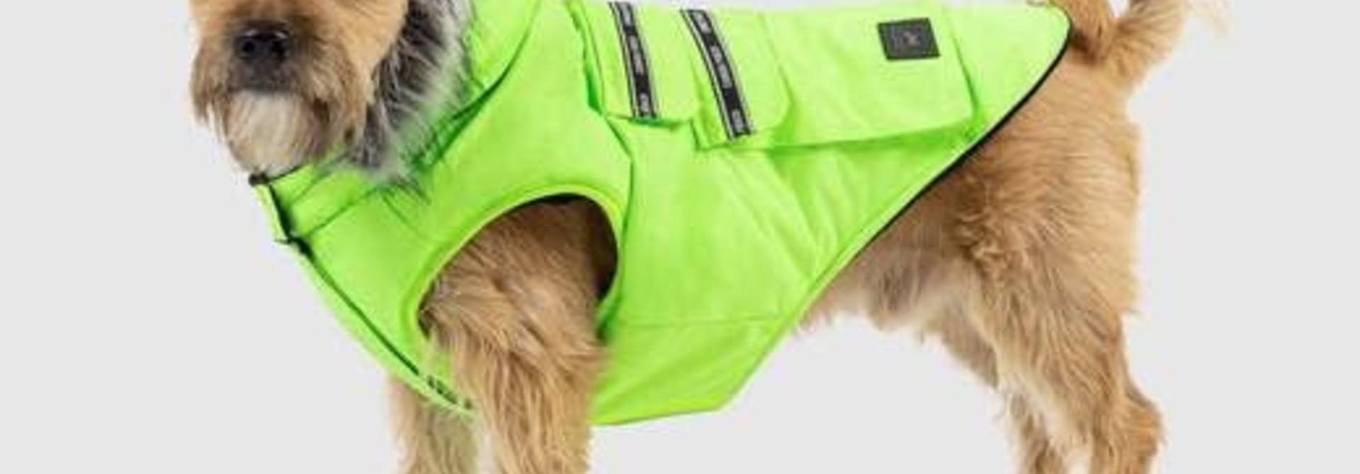 Canada Pooch Explorer Jacket Neon Green 18"