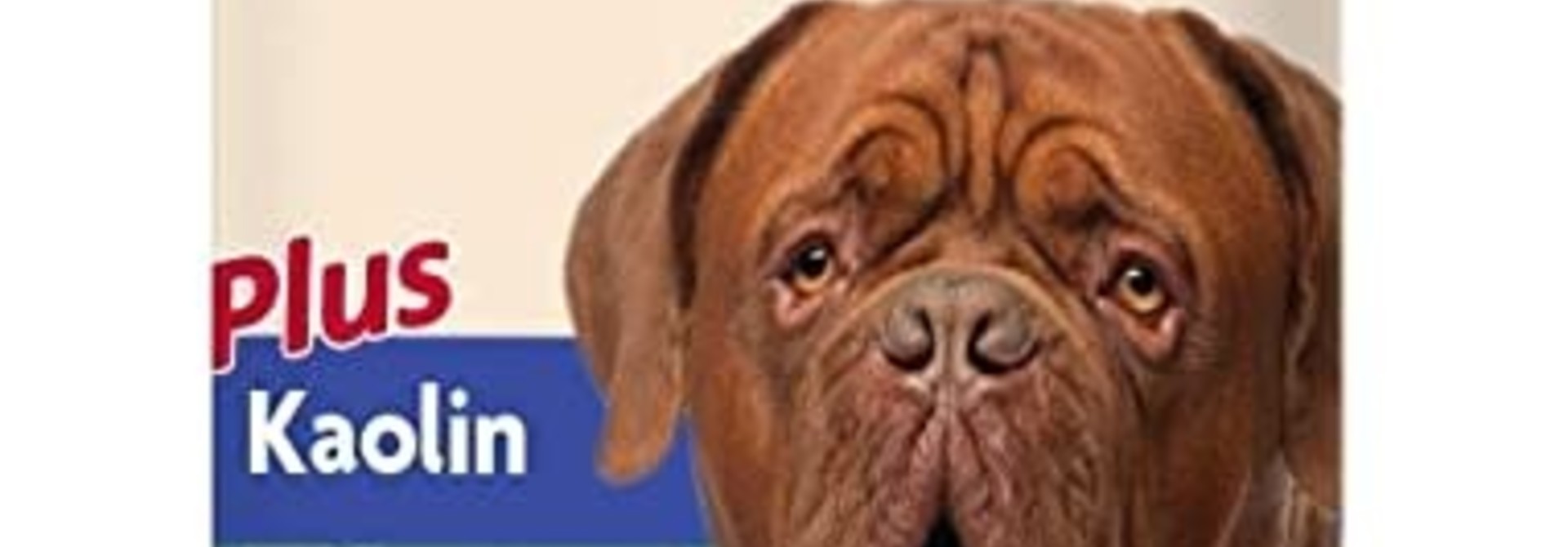 Anti Diarrhea for Dogs & Cats 8OZ