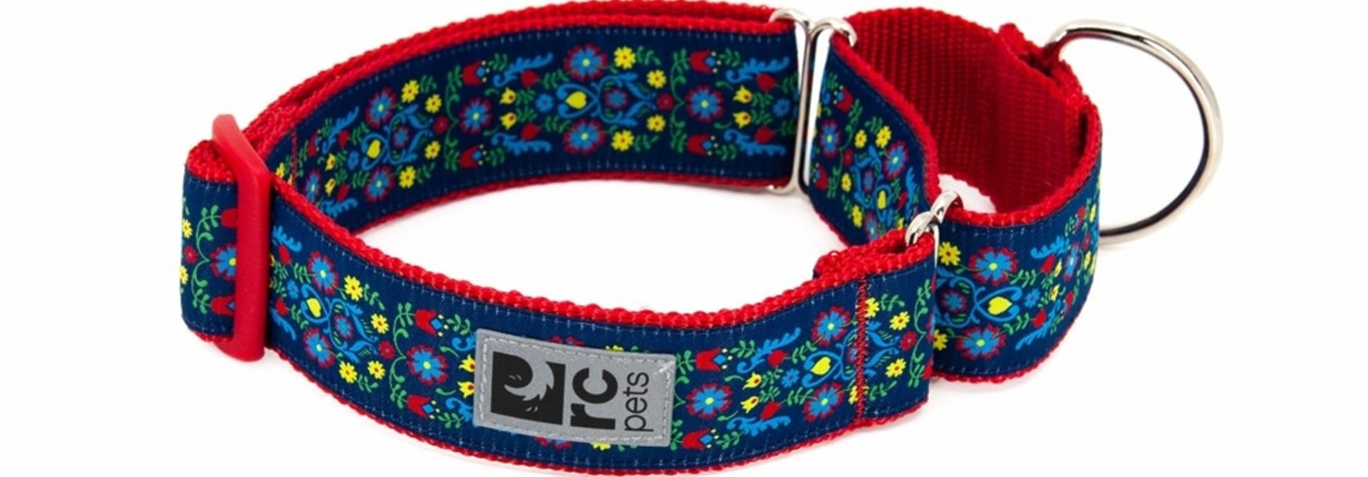 All Webbing Training Collar L Feeling Folksy
