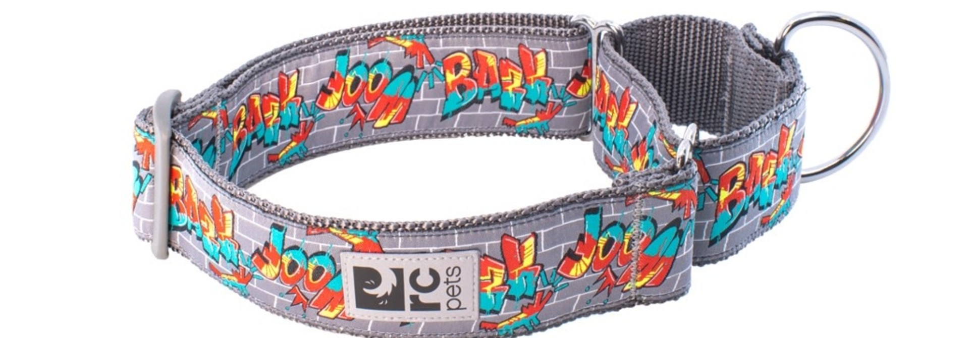 All Webbing Training Collar L Graffiti