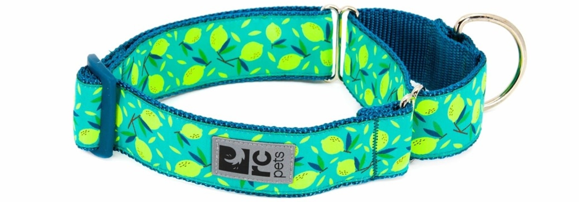 All Webbing Training Collar L Lemonade