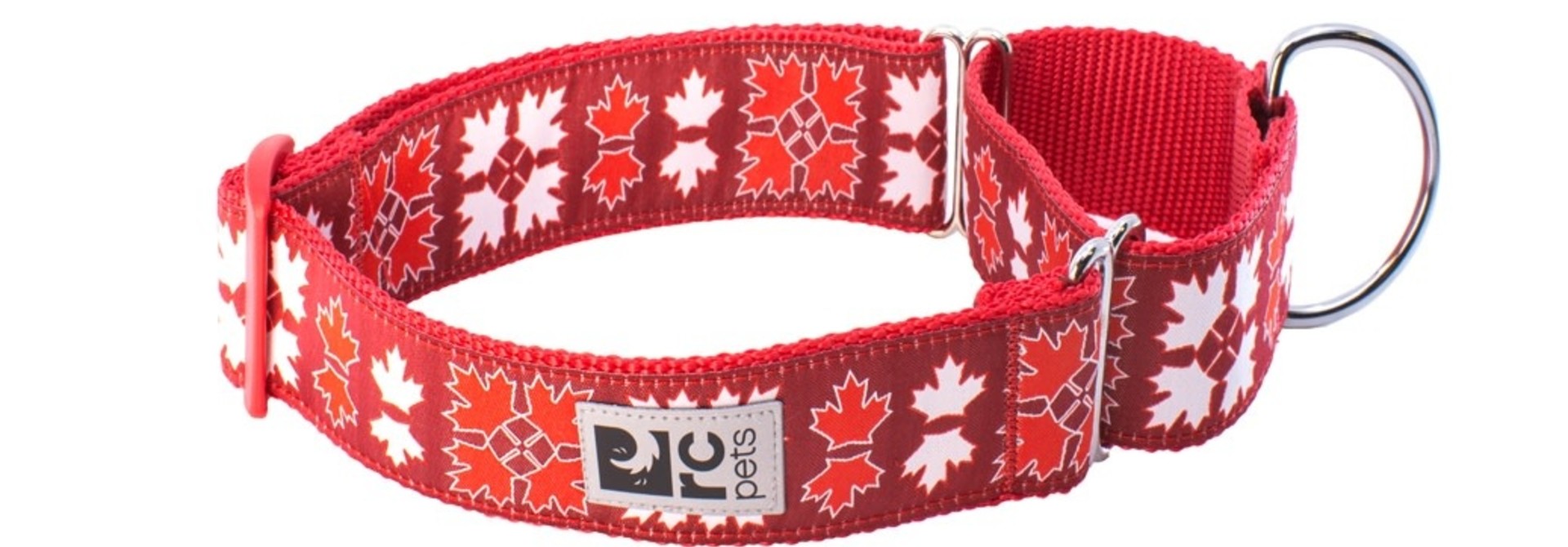 All Webbing Training Collar L Oh Canada