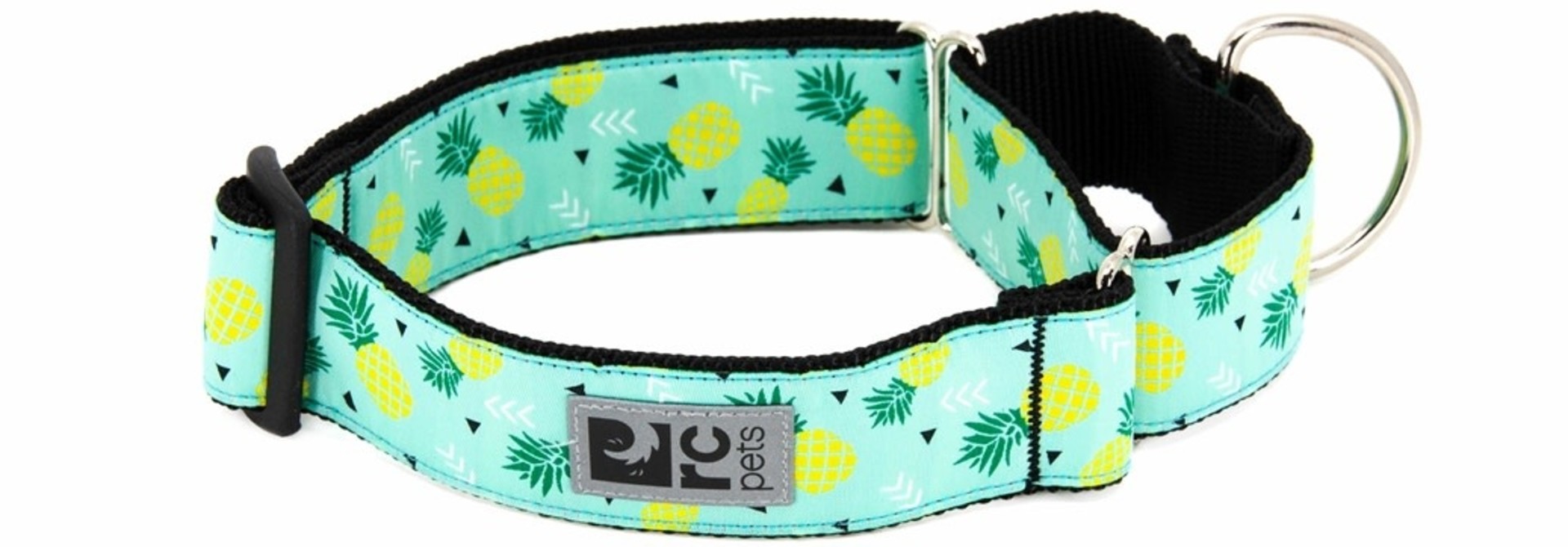All Webbing Training Collar L Pineapple Parade