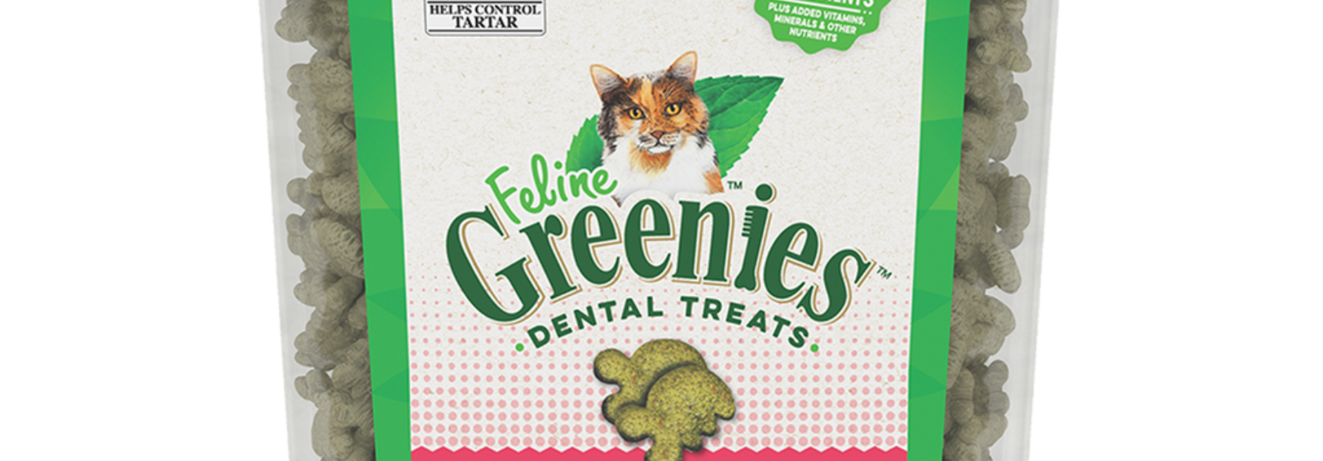 Cat Dental Treat Salmon 9.75OZ