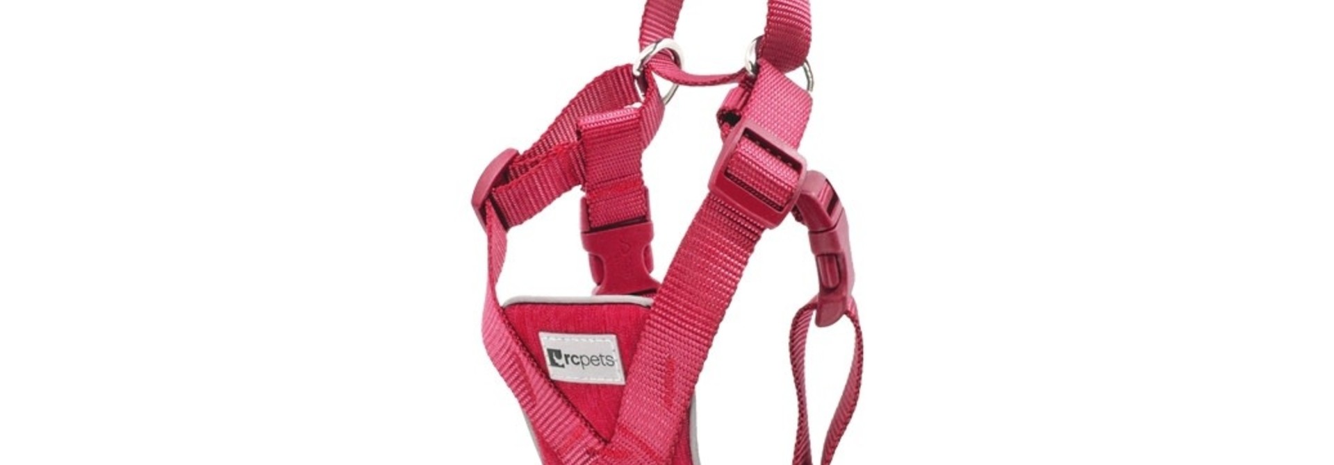 Tempo No Pull Harness S Heather Azalea