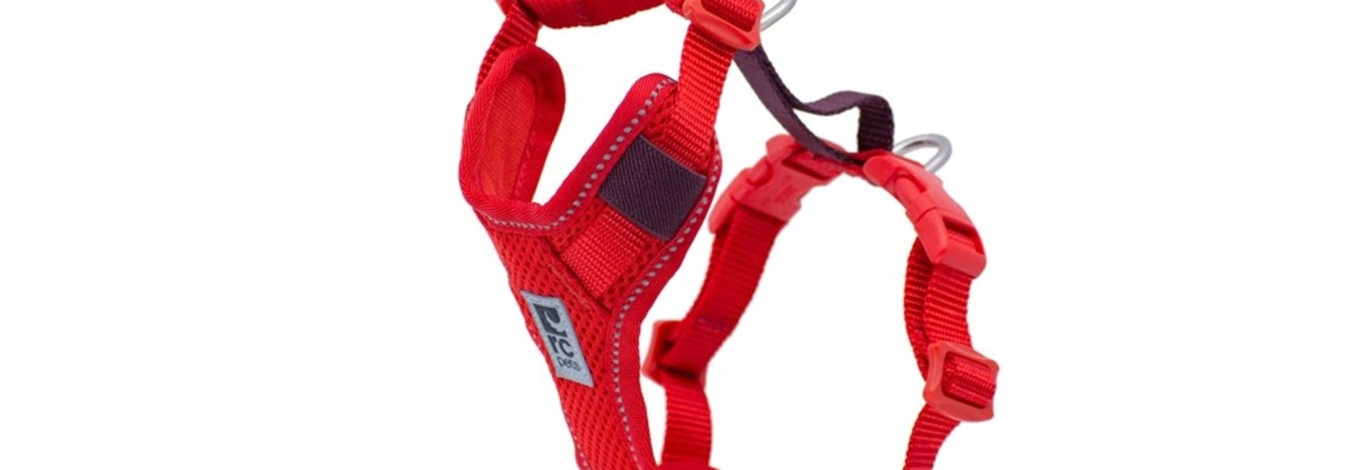 Moto Control Harness Large Gogi Berry/Burgundy
