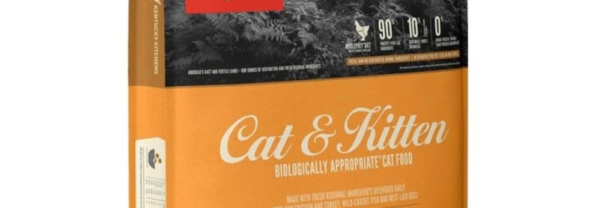 OR Cat & Kitten