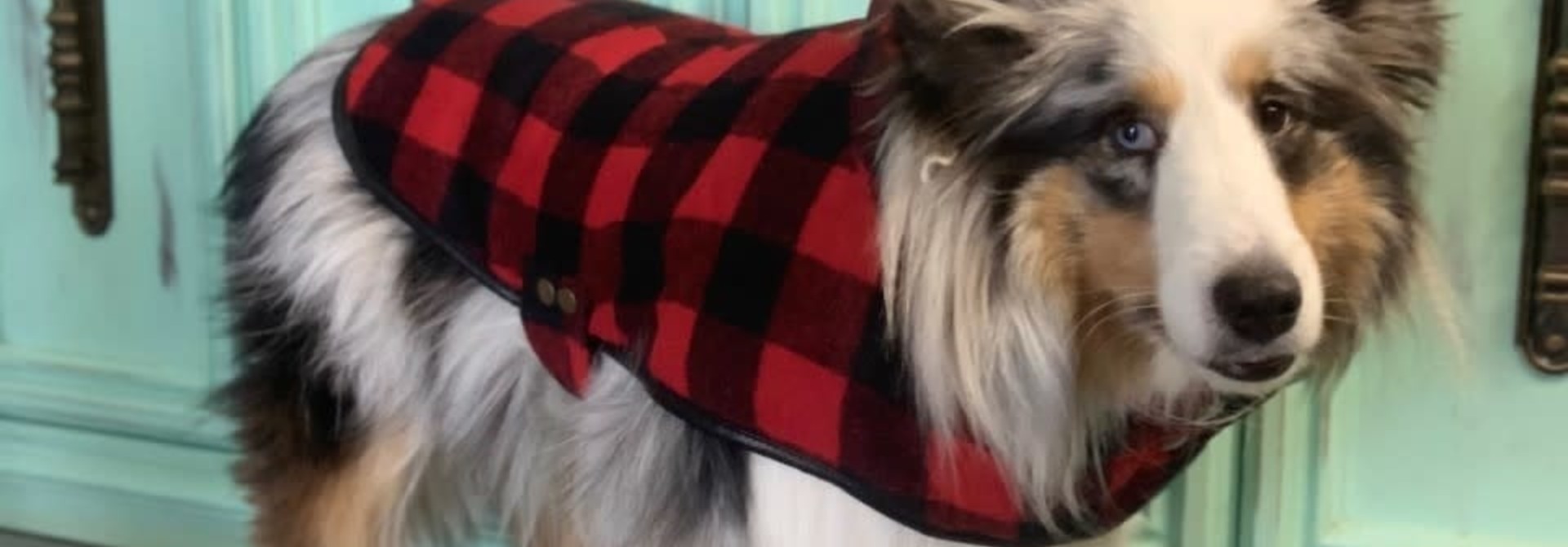 Doggie-Q Red Lumberjacket