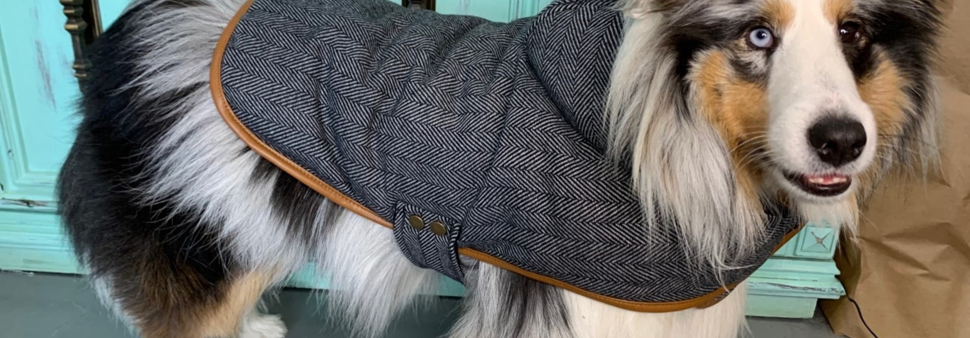 Doggie-Q Herring Bone