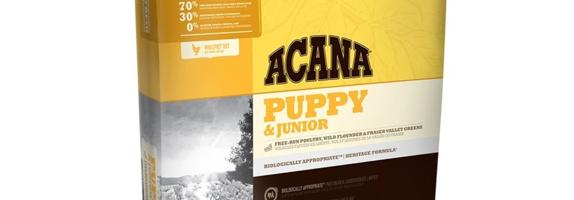AC Puppy & Junior