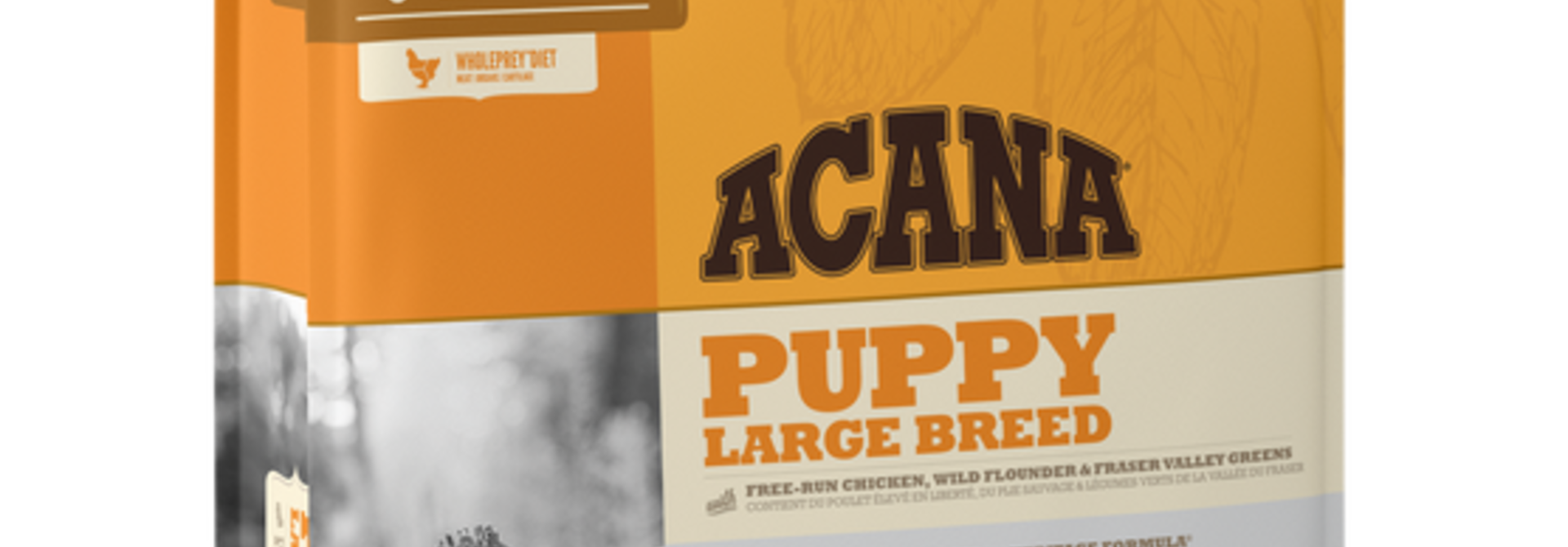 ACH Large Breed Puppy