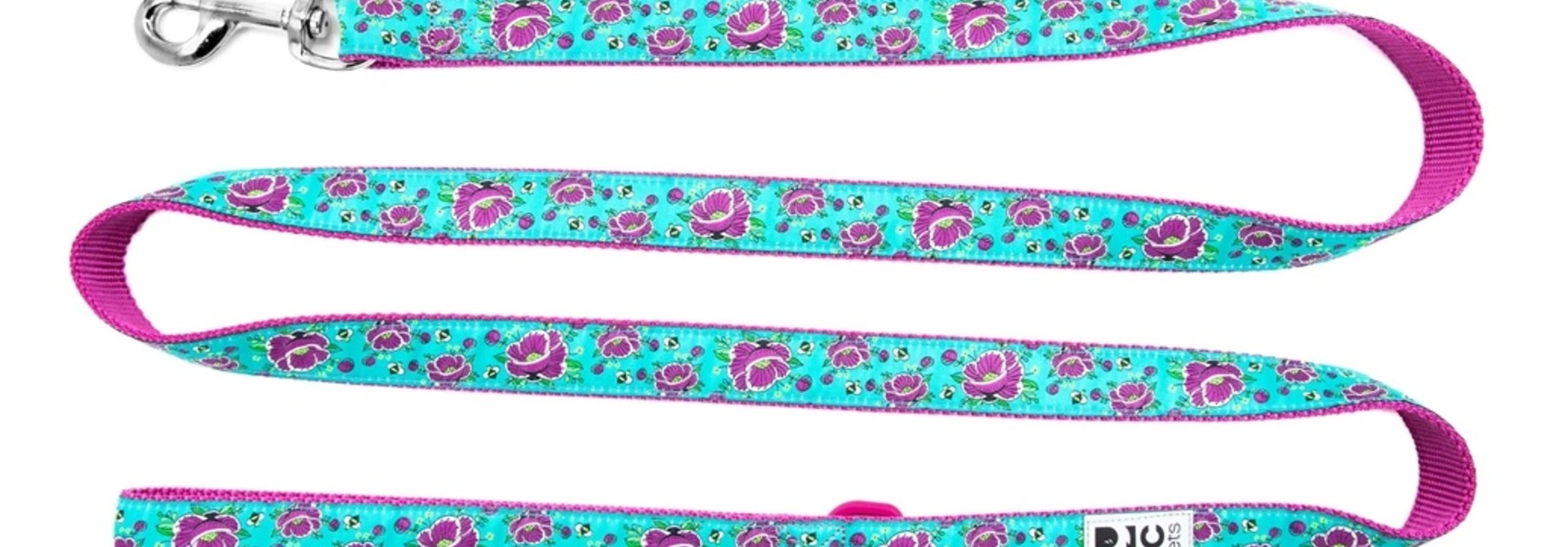 Leash 3/4x6 All the Buzz