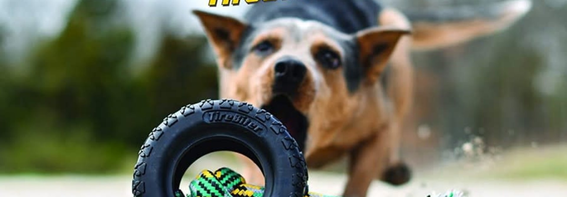 Tirebiter II with Rope Xlarge 7