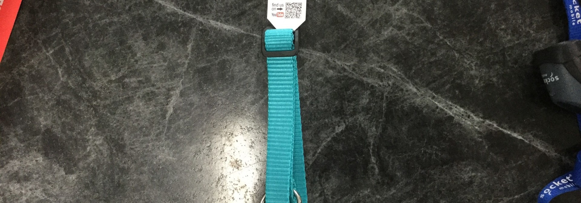 Adjustable Dog Collar -Teal