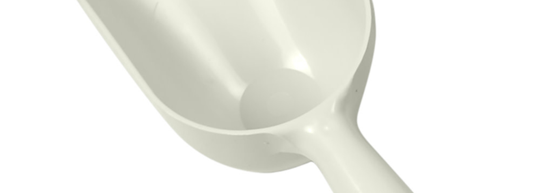 Food Scoop