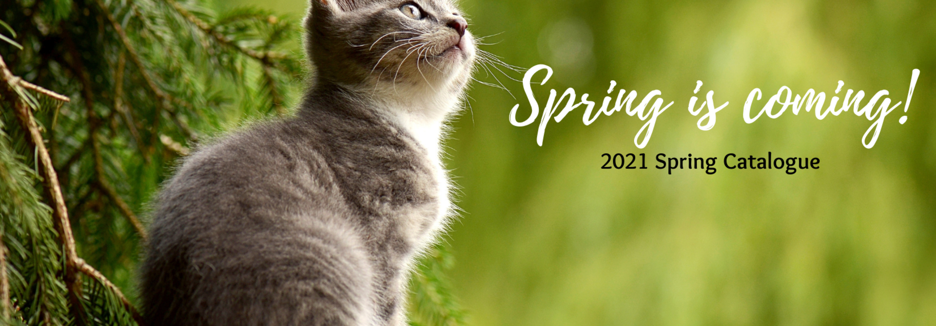 Spring Catalogue