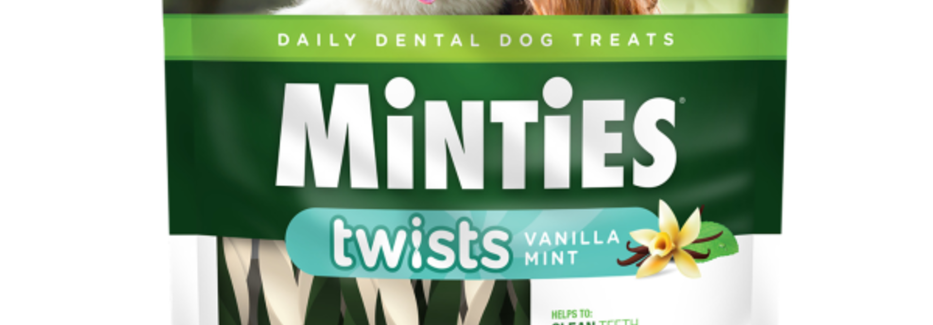 Dental Twists- Large 12oz