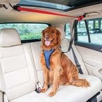 Pet Safe PupZip Vehicle Zipline