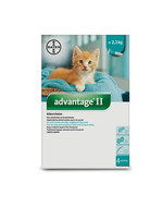 Advantage II Large Cat 6 Doses 4kg>