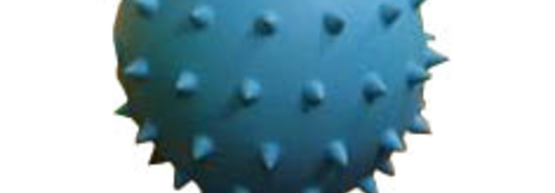 Medium Rubber Spiky Cuz
