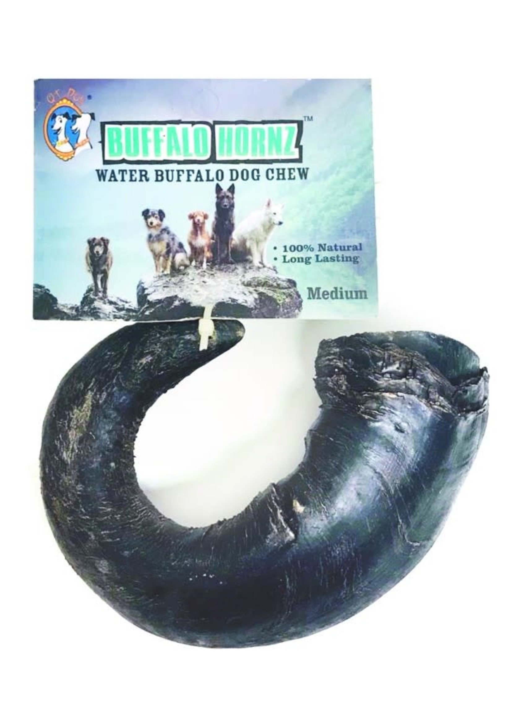 QT Dog Buffalo Horn-Medium