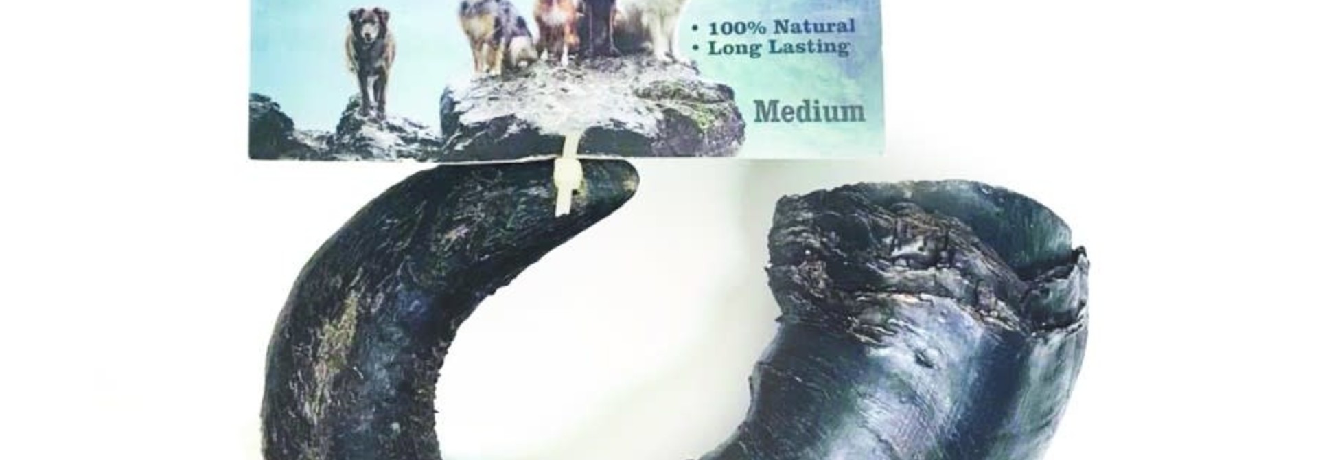 Buffalo Horn - Small
