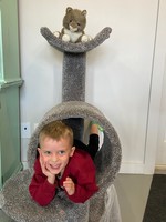 The Cat Factory PotBelly Cat Tree