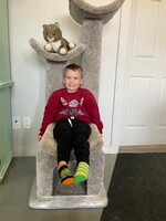 The Cat Factory The Cat Cave Cat Tree