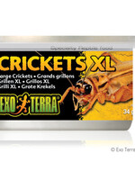 Exo Terra Canned Crickets, XL, 1.2 oz