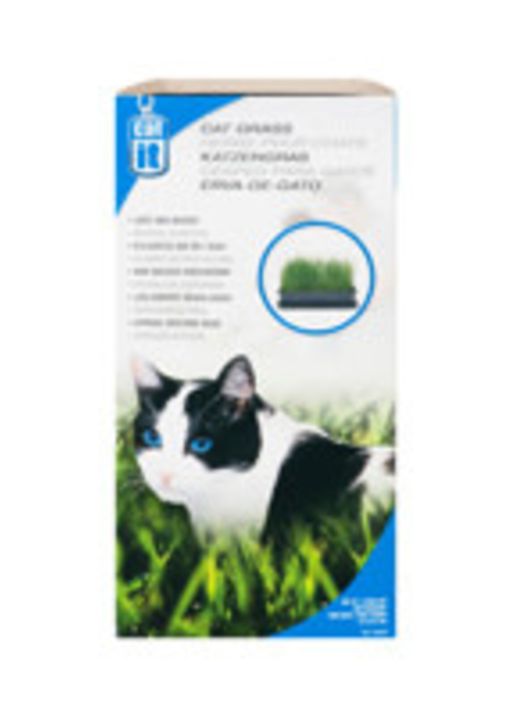 CatIt Catit Cat Grass, 2.6 oz