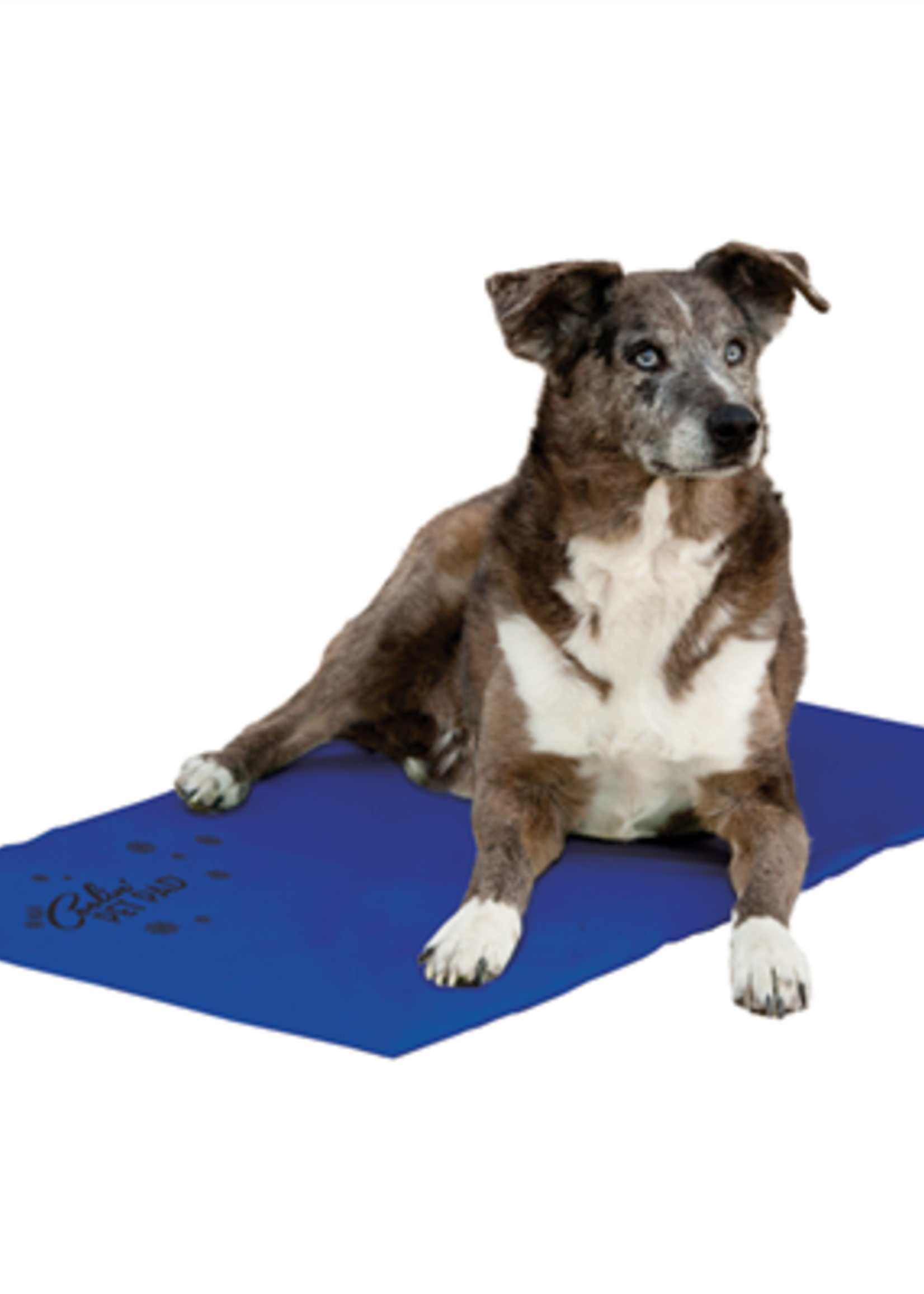 K&H Pet Products K & H - Coolin Pad Blue XLarge 27x38