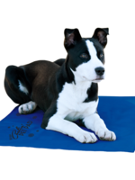 K&H Pet Products K & H - Coolin Pad Blue Large 20x36
