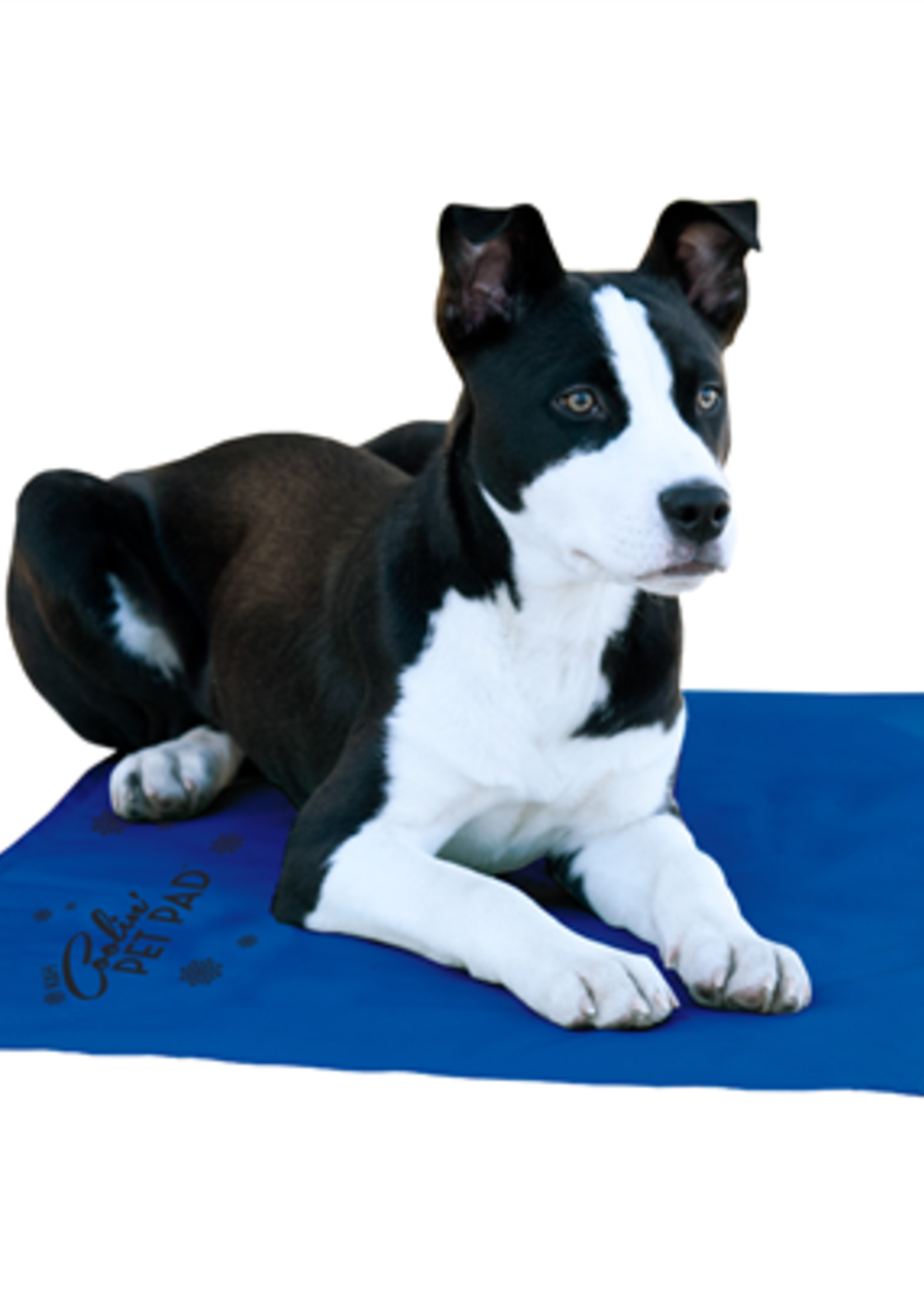 K&H Pet Products K & H - Coolin Pad Blue Large 20x36