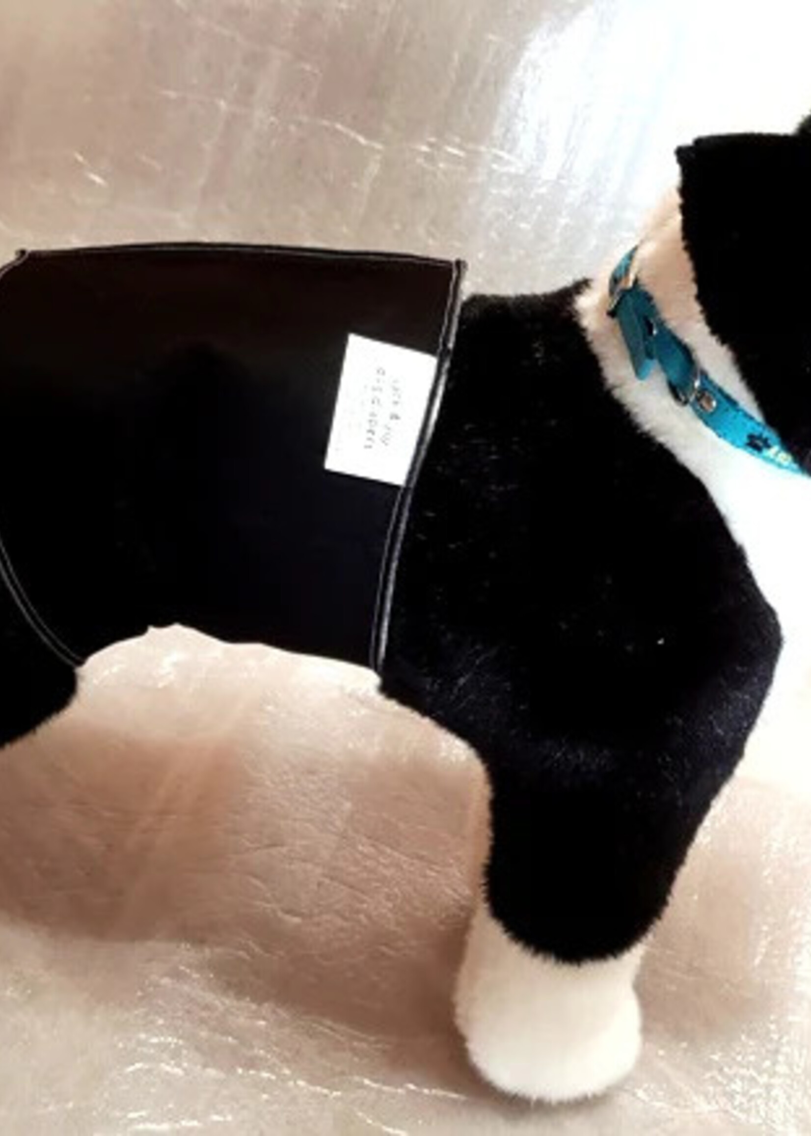 Dog diaper top for males
