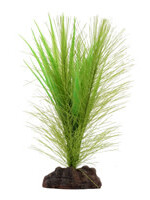 Fluval Plant Scapes Green Parrot's Feather/ Vallisneria Plant Mix - 12.5 cm (5 in)