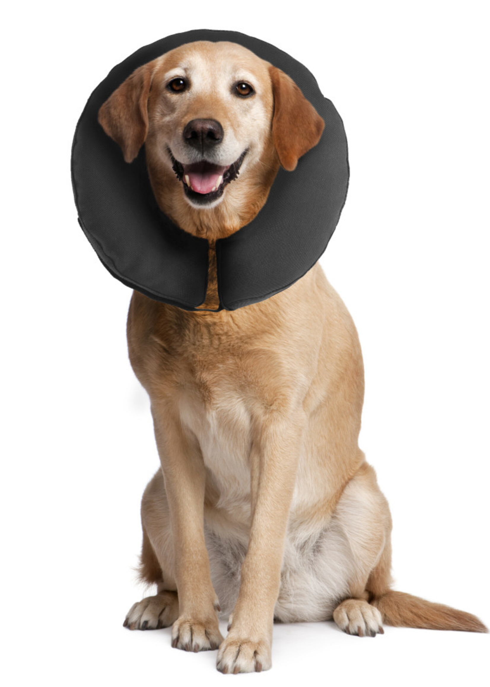 ZenPet ZenPet ProCollar - X-Large