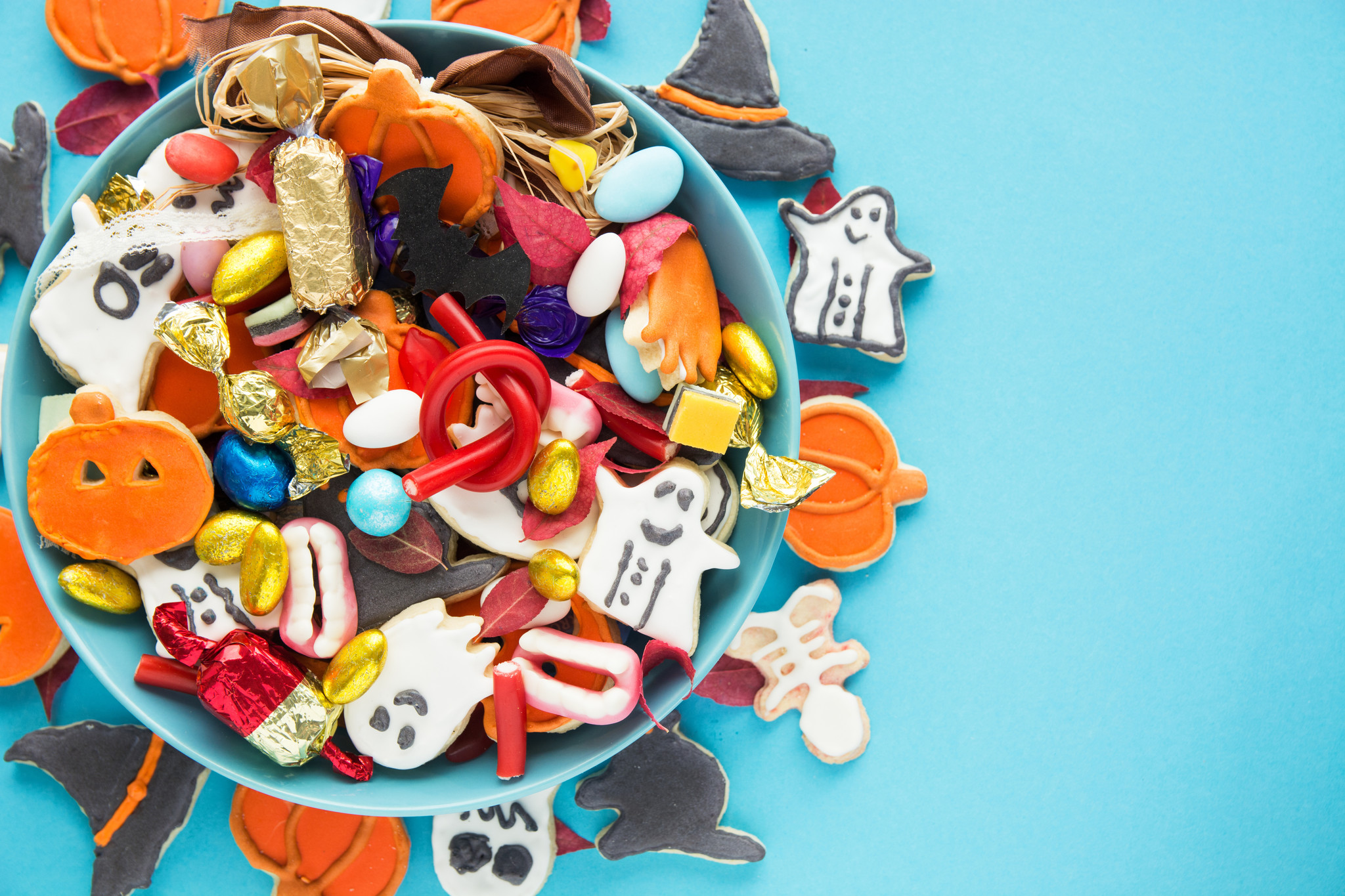 Toxic Halloween Treats for Pets 