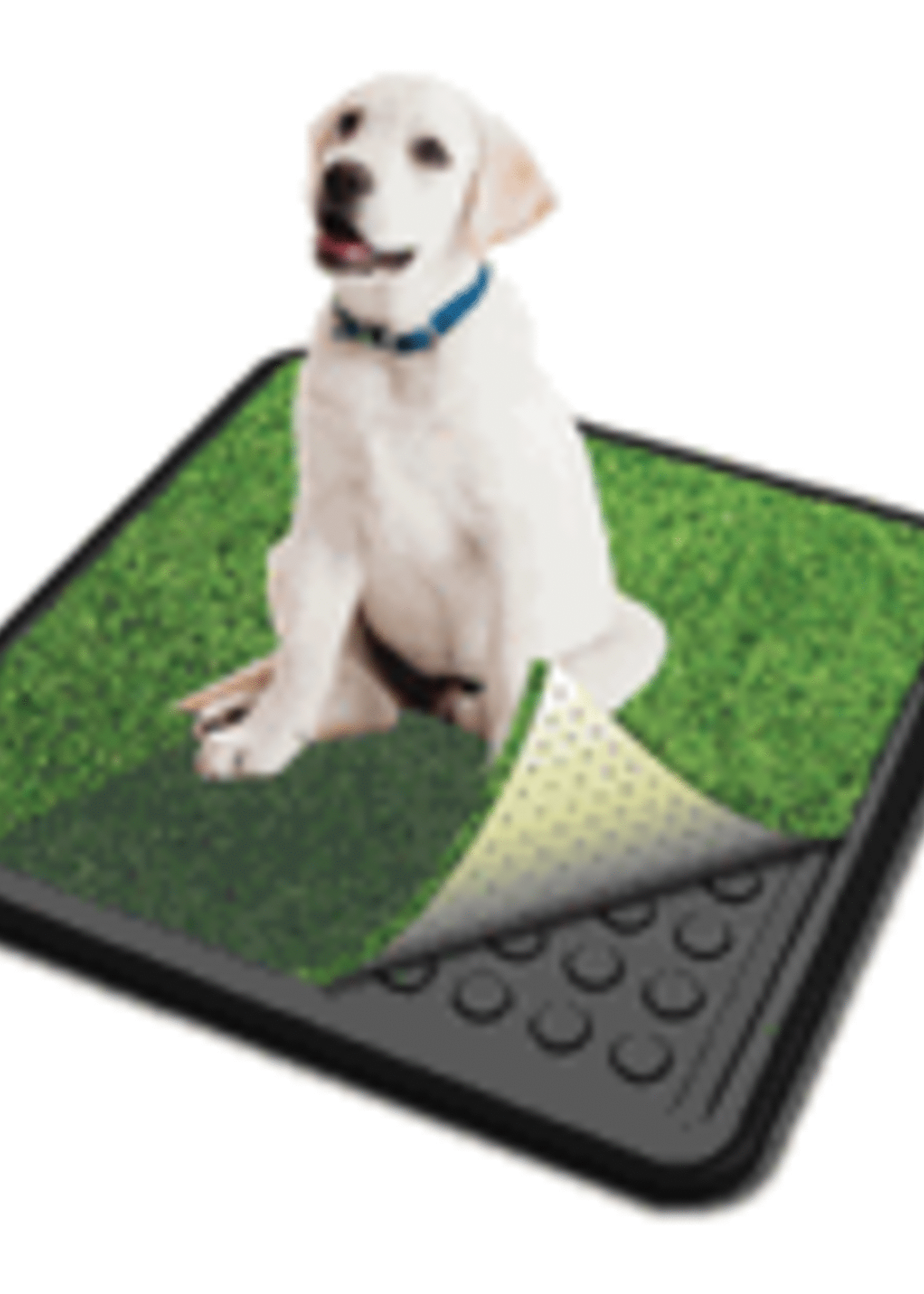 Indoor Turf Dog Potty Plus CLASSIC PREMIER Connectable Tray/Pad