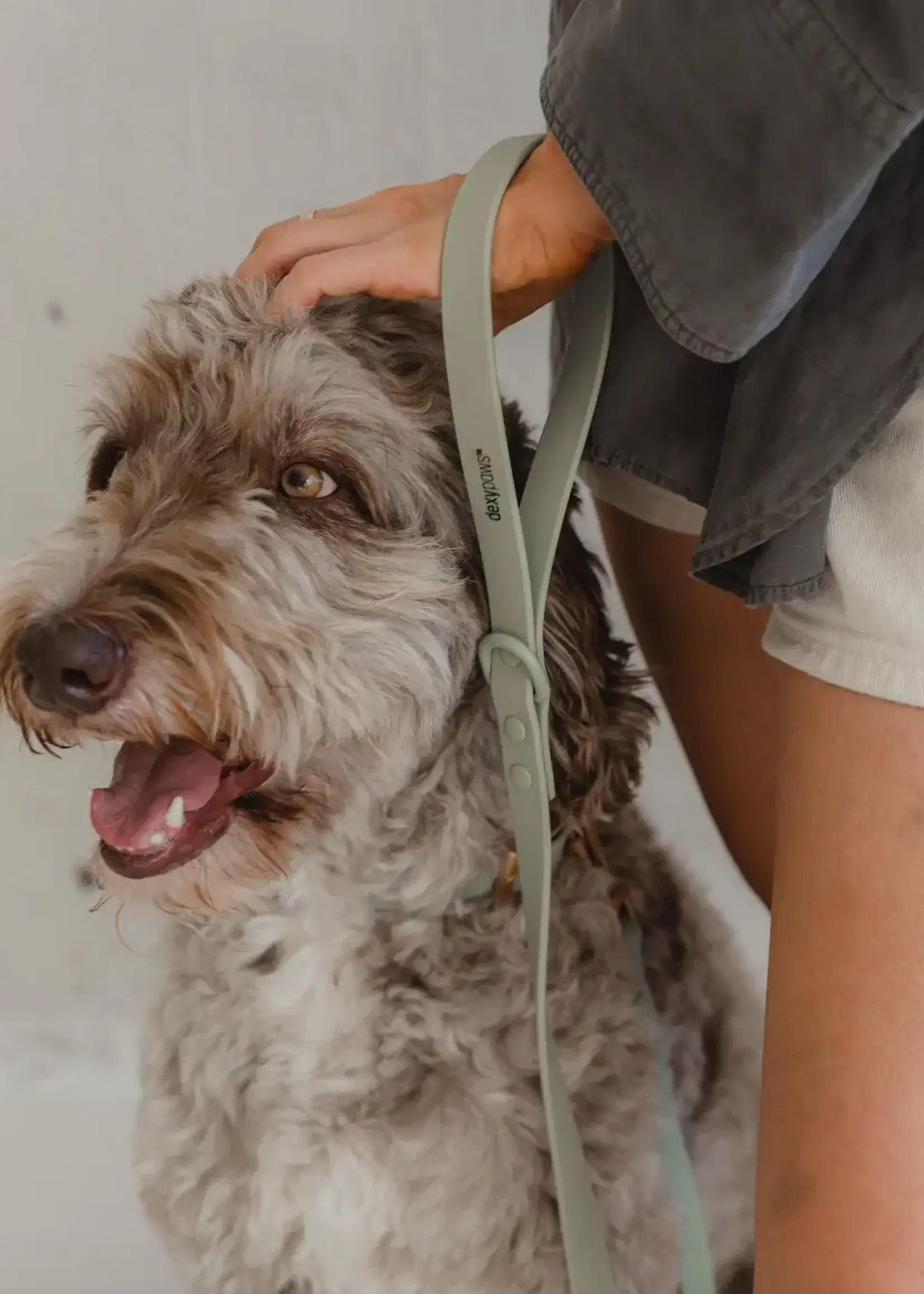 DexyPaws Dexypaws Dog Waterproof Leash Sage Green 5'