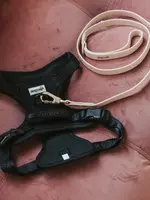 DexyPaws No-Pull Dog Harness - Black - M