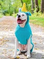 Chilly Dog Unicorn Hoodie MD