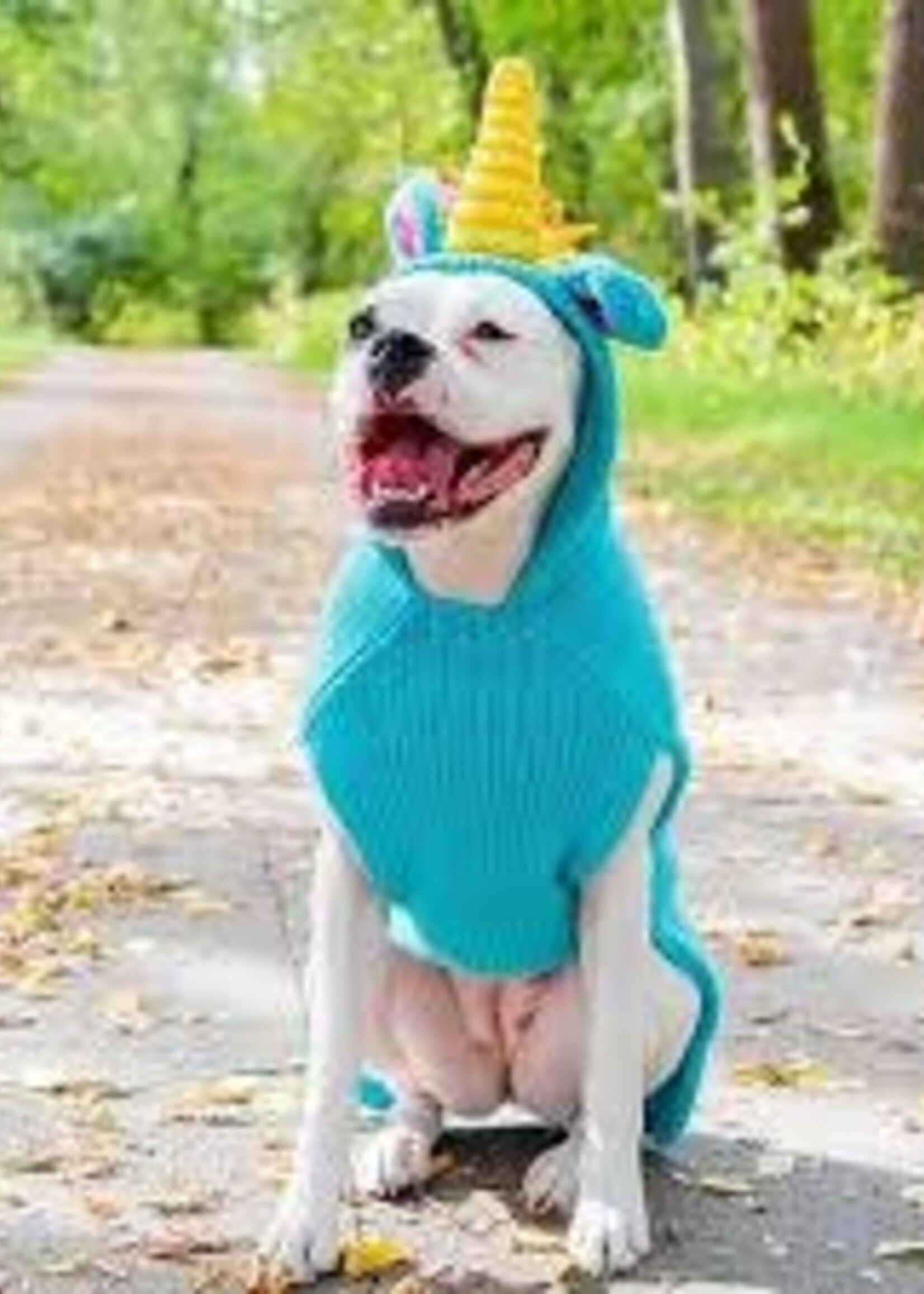 Chilly Dog Unicorn Hoodie SM