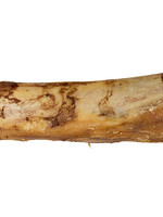 Silver Spur Asado ASADO Center Cut Beef Bone 6" DISCONTINUED
