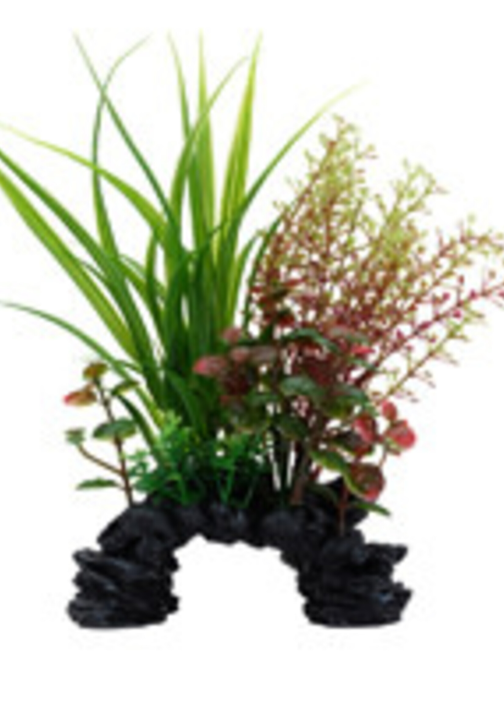 Fluval Fluval Aqualife Deco Scapes Sagittarius/ Rotala Mix - 15-20 cm (6-8 in)